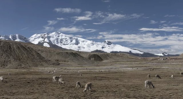 La Rinconada, të vërtetat e errëta mbi qytetin që ndodhet në “çatinë” e botës La Rinconada, të vërtetat e errëta mbi qytetin që ndodhet në “çatinë” e botës