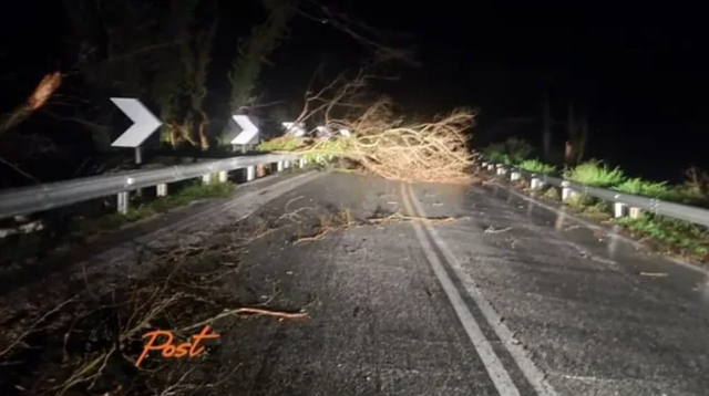 FOTO/ Moti i keq bën namin në vendin fqinj, stuhitë rrëzojnë pemët e bllokojnë rrugët FOTO/ Moti i keq bën namin në vendin fqinj, stuhitë rrëzojnë pemët e bllokojnë rrugët