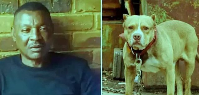 Sporti në zi! Ndahet tragjikisht nga jeta legjenda e futbollit, e shqyen për vdekje qentë e tij Sporti në zi! Ndahet tragjikisht nga jeta legjenda e futbollit, e shqyen për vdekje qentë e tij