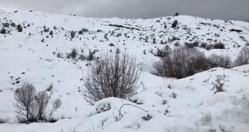 “Paralizohet” vendi, reshje bore nga veriu në juglindje. Ja çfarë pritet në orët në vijim “Paralizohet” vendi, reshje bore nga veriu në juglindje. Ja çfarë pritet në orët në vijim
