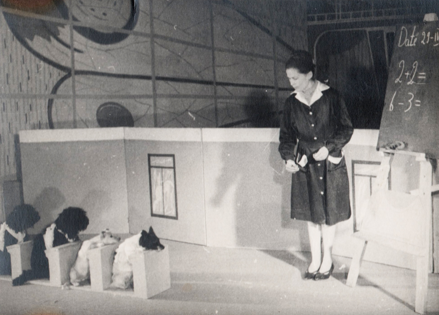 Ndërron jetë Sanie Baçova, artistja që zbuste kafshët e Cirkut Kombëtar Ndërron jetë Sanie Baçova, artistja që zbuste kafshët e Cirkut Kombëtar