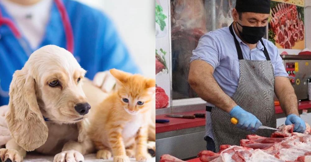 “Britanikët nuk duan të punojnë”, biznesmeni kërkon kasapë dhe veterinerë në Shqipëri “Britanikët nuk duan të punojnë”, biznesmeni kërkon kasapë dhe veterinerë në Shqipëri