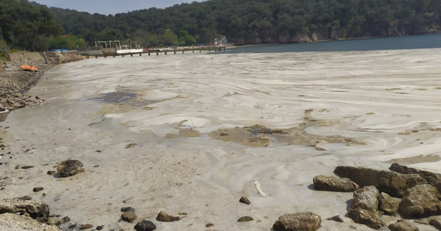 VIDEO/ Fenomeni në Turqi frikëson banorët: Për çfarë bëhet fjalë? VIDEO/ Fenomeni në Turqi frikëson banorët: Për çfarë bëhet fjalë?