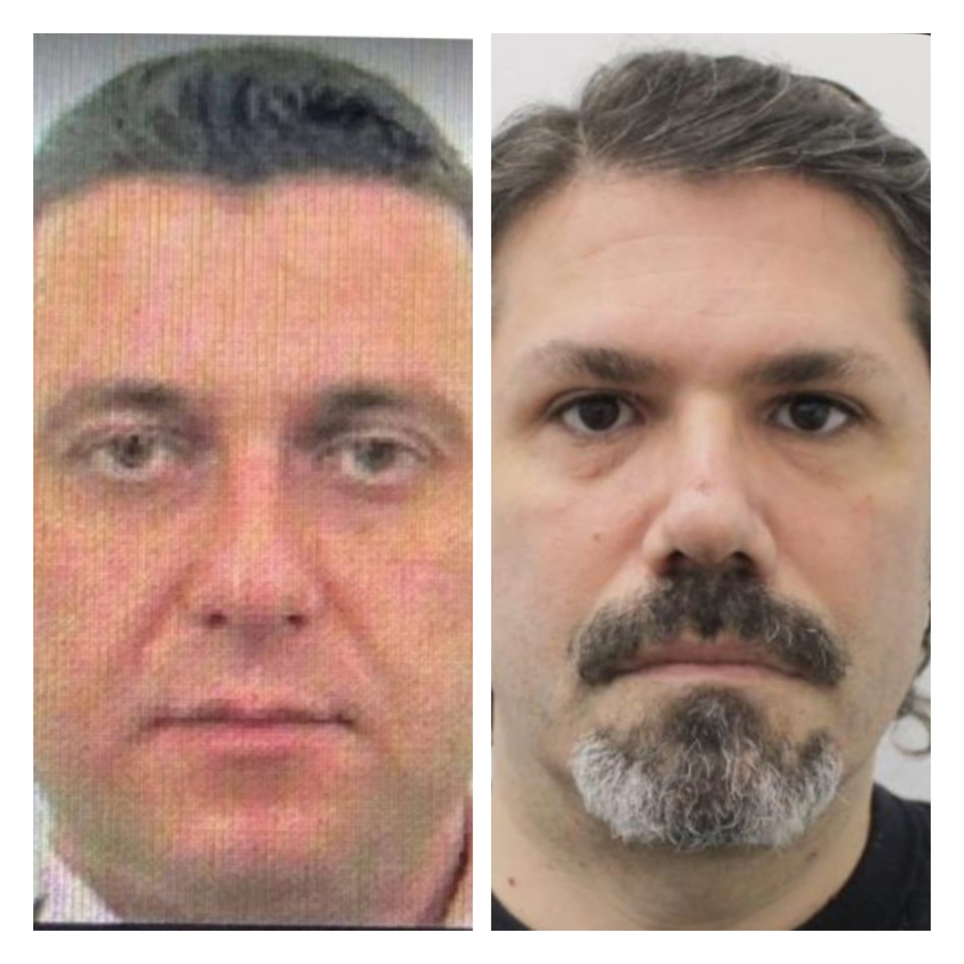 Banda e kredive Ibro-Meskuti pagoi një prokurore 60 mijë euro në muaj që të mos i arrestonte, dosja për zhvatjen e 5 shqiptarëve zvarritet prej 3 vitesh, mafia vijon aktivitetin kriminal