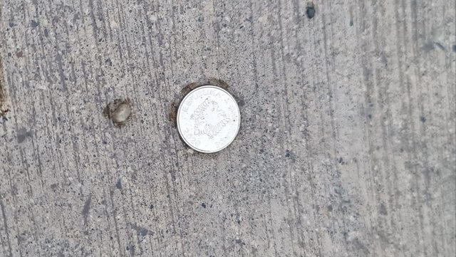 Ulëritëse! Monedha e vetme që ra nga xhepi i të ndjerit Pal: Ky 5 lekësh duhet të qëndrojë përgjithmonë në oborrin e Top Channel! Ulëritëse! Monedha e vetme që ra nga xhepi i të ndjerit Pal: Ky 5 lekësh duhet të qëndrojë përgjithmonë në oborrin e Top Channel!