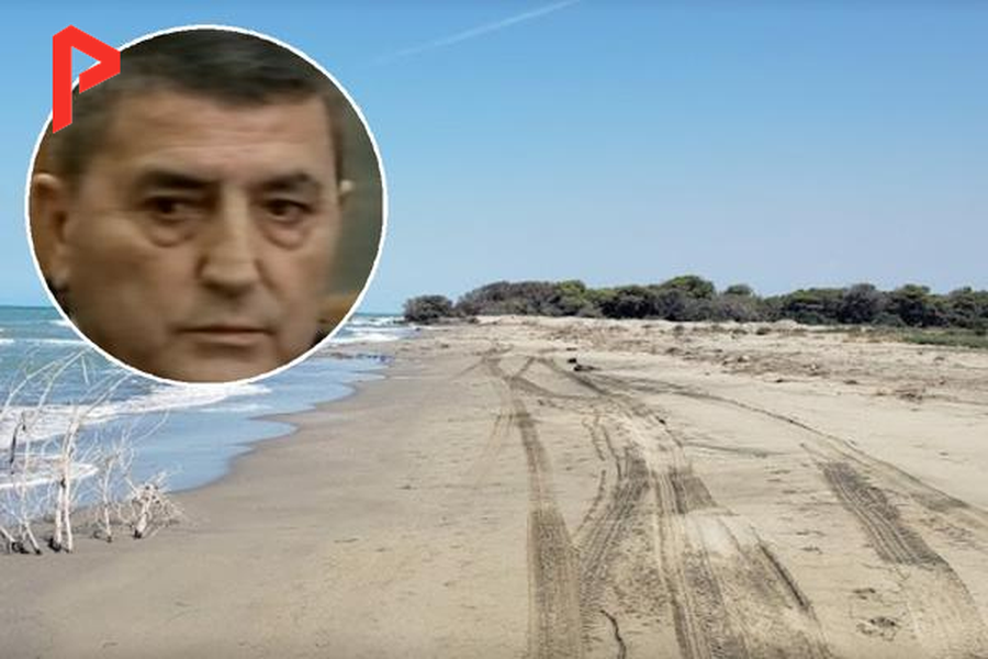 Luan Bregasi përlan 90 ha pyll e plazh në bregdetin e Semanit si ….“Investitor strategjik”