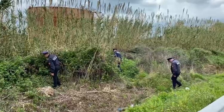 VIDEO/ Sulmi ndaj Top Channel, policia e Vlorës kërkon një armë zjarri në rrugë: E hodhën nga makina VIDEO/ Sulmi ndaj Top Channel, policia e Vlorës kërkon një armë zjarri në rrugë: E hodhën nga makina