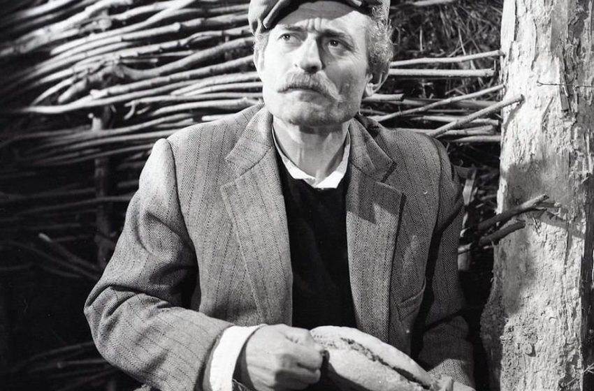 Birçe Hasko 81 vjeç: Jam i lumtur që do vdes në një apartament dhomë e kuzhinë, nuk e shita veten për pasuri Birçe Hasko 81 vjeç: Jam i lumtur që do vdes në një apartament dhomë e kuzhinë, nuk e shita veten për pasuri