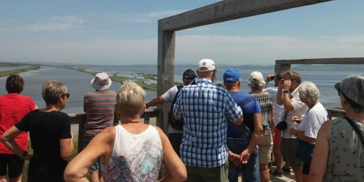 Nga turistë në qytetarë të Shqipërisë, blogerët norvegjezë: Këtu fitojmë para! Nga turistë në qytetarë të Shqipërisë, blogerët norvegjezë: Këtu fitojmë para!