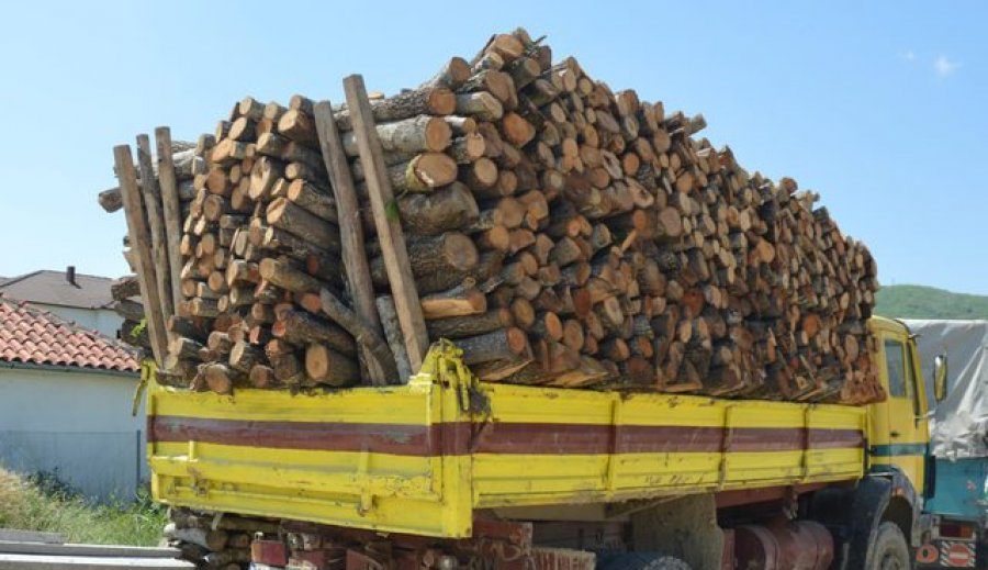 Drejtësia në “rrugë të mbarë” për të qarë! Korrupsioni me arka peshku në celular, humbës tendersh kanalesh, tani… me makina me dru! SPAK 5 muaj përgjime për një kamion me dru Drejtësia në “rrugë të mbarë” për të qarë! Korrupsioni me arka peshku në celular, humbës tendersh kanalesh, tani… me makina me dru! SPAK 5 muaj përgjime për një kamion me dru