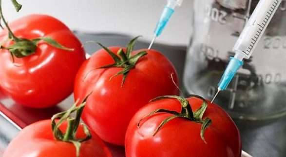 Mallrat serb mbushin tregun: Kosova u shpall “luftë” prodhimeve të Shqipërisë! Dërgon për analizë domatet: Dyshojmë se përmbajnë hormone të dëmshme Mallrat serb mbushin tregun: Kosova u shpall “luftë” prodhimeve të Shqipërisë! Dërgon për analizë domatet: Dyshojmë se përmbajnë hormone të dëmshme