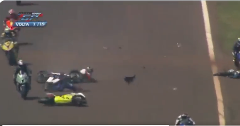 Kujdes, pamje të rënda! Aksident horror në garën e MotoGP: Dy pilotët ndërrojnë jetë (Video) Kujdes, pamje të rënda! Aksident horror në garën e MotoGP: Dy pilotët ndërrojnë jetë (Video)