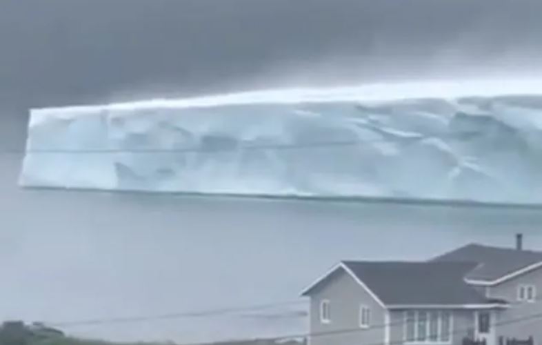 VIDEO/ Kur ajsbergu të vjen në derë të shtëpisë VIDEO/ Kur ajsbergu të vjen në derë të shtëpisë