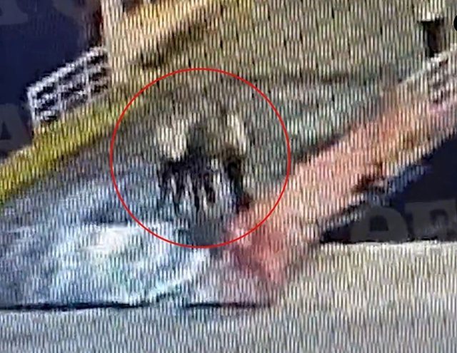 Vdekja e 36-vjeçarit në portin e Pireut, reagon Mitsotakis: Neveri dhe tmerr për ngjarjen e rëndë! Drejtësia të veprojë Vdekja e 36-vjeçarit në portin e Pireut, reagon Mitsotakis: Neveri dhe tmerr për ngjarjen e rëndë! Drejtësia të veprojë