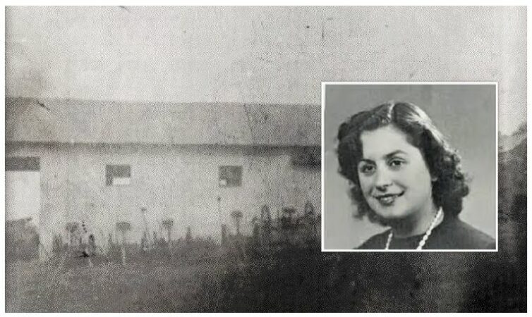 Vari veten në të njëjtin litar me nënën e saj në stallën e derrave! Historia e vajzës më të bukur të Tiranës, u tentua të përdhunohej nga vëllai i ministrit Vari veten në të njëjtin litar me nënën e saj në stallën e derrave! Historia e vajzës më të bukur të Tiranës, u tentua të përdhunohej nga vëllai i ministrit