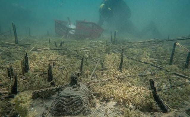 Pse vendbanimi 8000-vjeçar shqiptar po huton shkencëtarët?