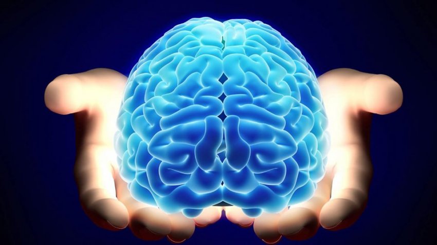 Çipi i parë në trurin e njeriut, neurologu shpjegon sesi është i ndërtuar! Inxhinieri vetëofrohet për ta implementuar! Profesorët tregojnë si do të ndihmojë të sëmurët