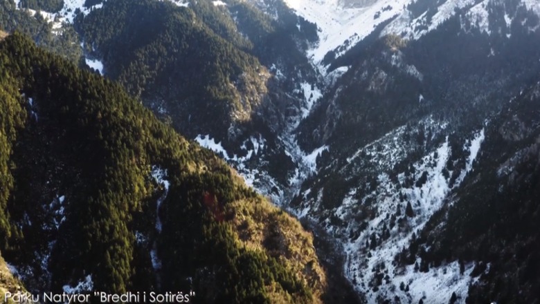 Pamje mahnitëse nga Bredhi i Sotirës, Rama: Parku Natyror ku mbrohen habitatet dhe speciet e veçanta Pamje mahnitëse nga Bredhi i Sotirës, Rama: Parku Natyror ku mbrohen habitatet dhe speciet e veçanta