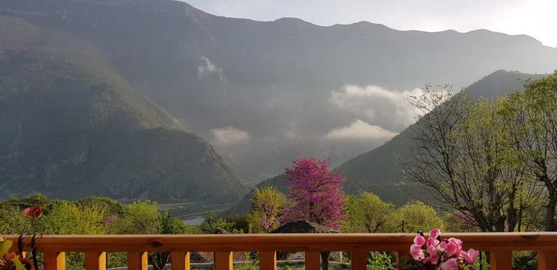 Përse rreth një milion italianë zgjodhën të pushojnë në Shqipëri në vitin 2023?