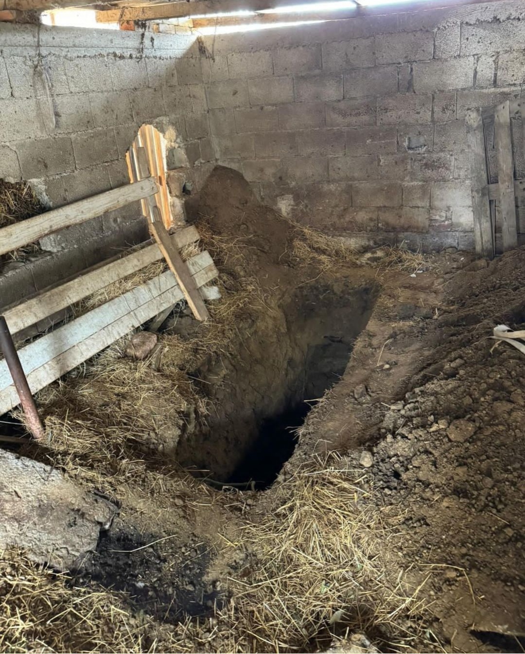 Kur në shtëpi të presin 3 vrasësit që i ke vetëprodhuar! Kur në shtëpi të presin 3 vrasësit që i ke vetëprodhuar!