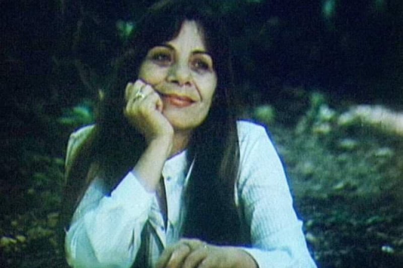 Sulmi fizik mbi Vaçe Zelën më 1993, kush ishte personi që e sulmoi? Sulmi fizik mbi Vaçe Zelën më 1993, kush ishte personi që e sulmoi?