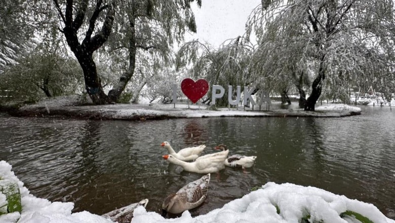 Pamje mahnitëse nga vello e dëborës pranverore në Qafshtamë dhe Pukë (Foto+Video) Pamje mahnitëse nga vello e dëborës pranverore në Qafshtamë dhe Pukë (Foto+Video)