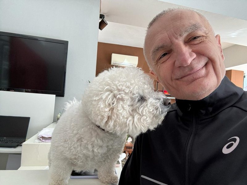 A ka Ilir Meta një minierë zinku në Kongo? A ka Ilir Meta një minierë zinku në Kongo?