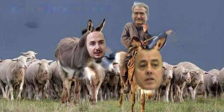 “Ik bashkë me kuajt e tu”! Bamir Topi mesazh publik Berishës: Jam gati t’i bashkohen PD-së nëse në shtator kërkoni falje për 2008-ën “Ik bashkë me kuajt e tu”! Bamir Topi mesazh publik Berishës: Jam gati t’i bashkohen PD-së nëse në shtator kërkoni falje për 2008-ën