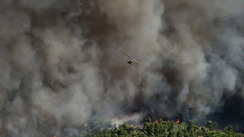 Vihen në kontroll zjarret në Athinë! Qeveria jep 4.7 milionë euro për zonat e prekura Vihen në kontroll zjarret në Athinë! Qeveria jep 4.7 milionë euro për zonat e prekura