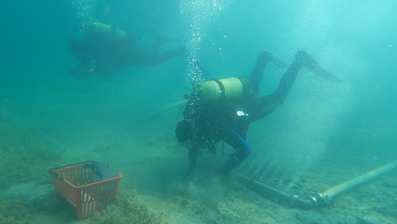 Vendbanimi i lashtë i Linit zbulon se si u përhap bujqësia në Evropë Vendbanimi i lashtë i Linit zbulon se si u përhap bujqësia në Evropë