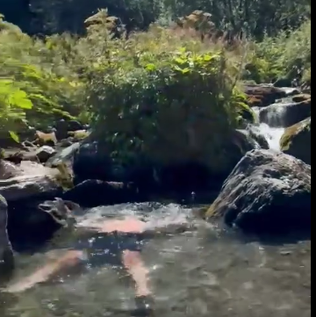 VIDEO/ Ilir Meta ”mbin” nga përroi, ndjekësit mbeten “pa frymë”! VIDEO/ Ilir Meta ”mbin” nga përroi, ndjekësit mbeten “pa frymë”!