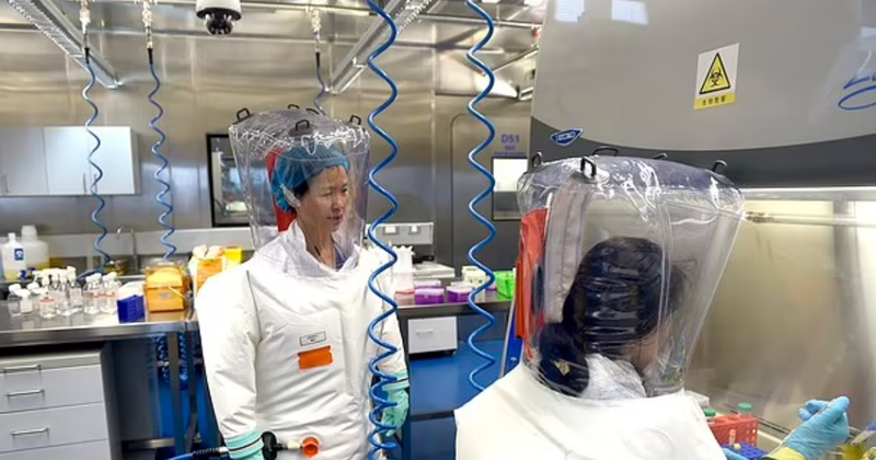 Studimi tronditës: Laboratori kinez nga ku doli Covid-19 mund të ketë lëshuar tjetër virus vdekjeprurës Studimi tronditës: Laboratori kinez nga ku doli Covid-19 mund të ketë lëshuar tjetër virus vdekjeprurës