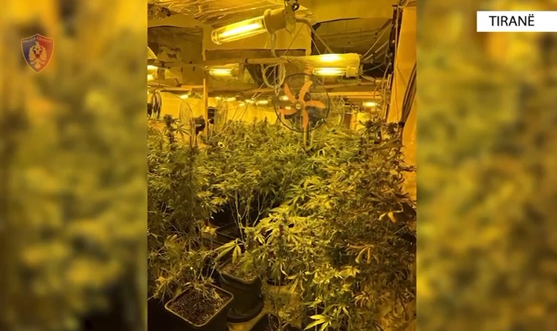 Tiranë/ Kthyen magazinën në shtëpi bari, ndërtuan tunel për tu ngjitur në katin e dytë mbi ‘Kadastër’ 7 në pranga, 1 në kërkim! Tre prej të arrestuarve punonjës të OSHEE-së Tiranë/ Kthyen magazinën në shtëpi bari, ndërtuan tunel për tu ngjitur në katin e dytë mbi ‘Kadastër’ 7 në pranga, 1 në kërkim! Tre prej të arrestuarve punonjës të OSHEE-së