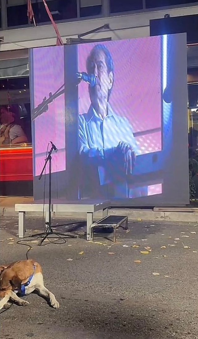 FOTO-LAJM/ Protestuesi i vetëm në Rrugën e “Shpresë…humburve” FOTO-LAJM/ Protestuesi i vetëm në Rrugën e “Shpresë…humburve”