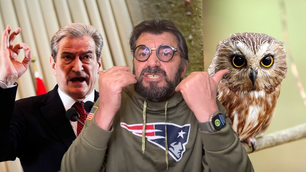 “Spiun i sigurimit”! Demalia ‘shpërthen’ ndaj Berishës: Palaço, ti nuk je burrë! Mua më përndoqi regjimi, lirinë time s’e blen dot “Spiun i sigurimit”! Demalia ‘shpërthen’ ndaj Berishës: Palaço, ti nuk je burrë! Mua më përndoqi regjimi, lirinë time s’e blen dot