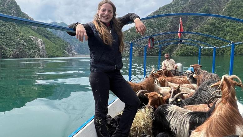 Mjerim gazetarët që shqetësohen më shumë për kecat e Neomalsores, sesa për “ujqërit” e Gërdecit