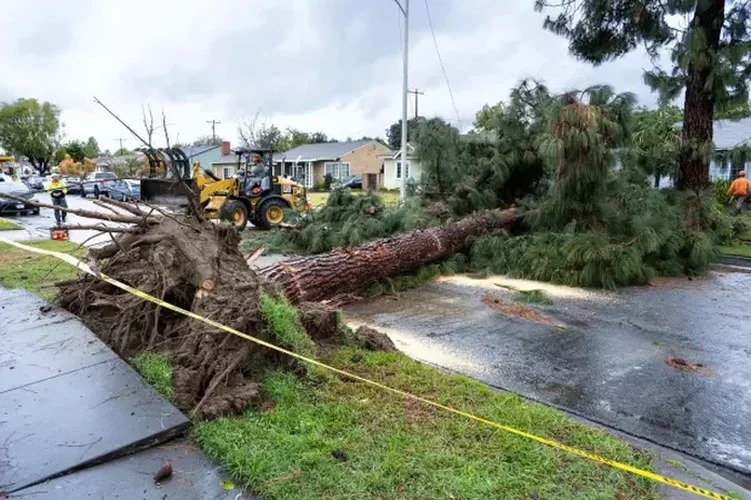 Stuhi të fuqishme dhe tornado në SHBA, 34 të vdekur Stuhi të fuqishme dhe tornado në SHBA, 34 të vdekur