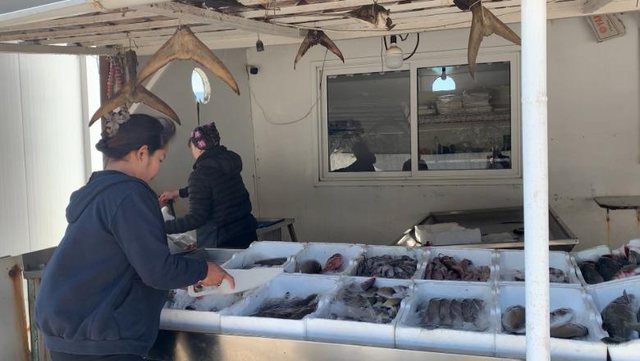 Në Shqipëri mbi 11 mijë të huaj të punësur në treg, 5 mijë vende pune të lira edhe për emigrantët Në Shqipëri mbi 11 mijë të huaj të punësur në treg, 5 mijë vende pune të lira edhe për emigrantët