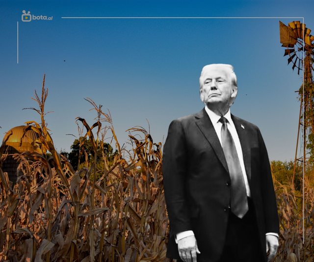 Mësimi që po merr Donald Trumpi, me një kosto të lartë Mësimi që po merr Donald Trumpi, me një kosto të lartë