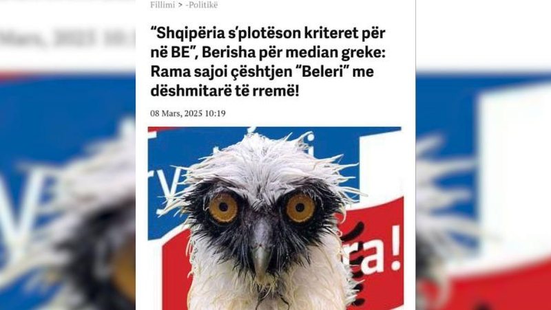 Nxiu imazhin e Shqipërisë në mediat greke, Rama ironizon Berishën me bufin e kënetës