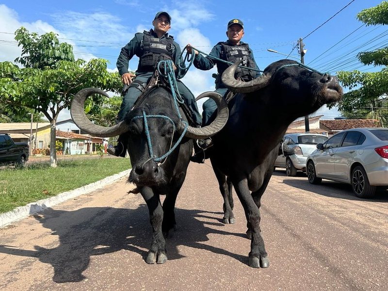 Mënyra unike e policisë për të luftuar krimin në Brazil Mënyra unike e policisë për të luftuar krimin në Brazil