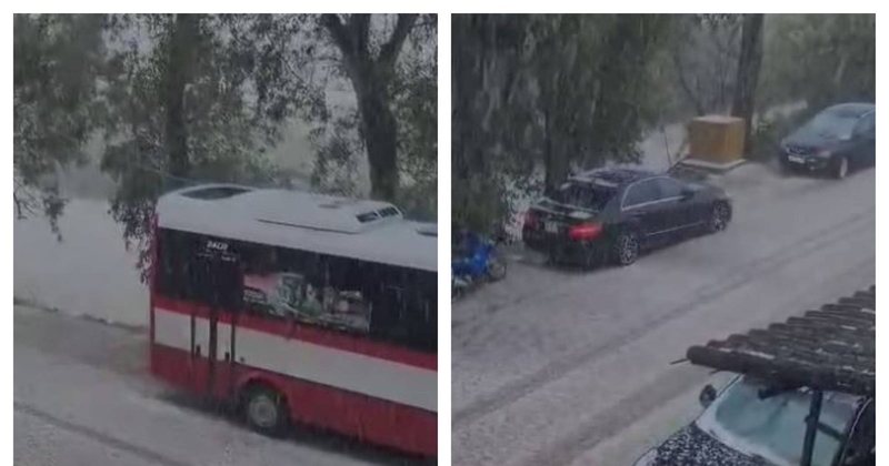 Breshër i pazakontë në Frakull, dëme të shumta në pemëtari Breshër i pazakontë në Frakull, dëme të shumta në pemëtari