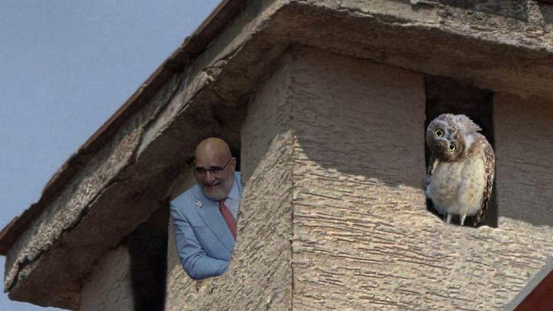 FOTOLAJM/ Rama ironizon LaCivitan: Latifi i shkretë mbeti në penxhere, mezi pret lekët e bufit për të ikur nga sytë këmbët FOTOLAJM/ Rama ironizon LaCivitan: Latifi i shkretë mbeti në penxhere, mezi pret lekët e bufit për të ikur nga sytë këmbët