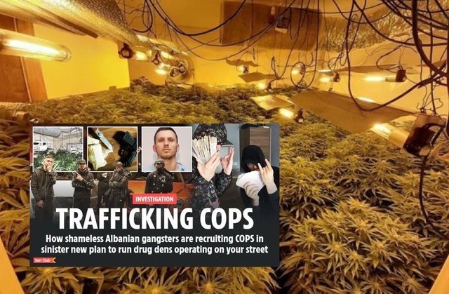 The Sun: Gangsterët shqiptarë në Britani rekrutojnë ish-oficerë policie në trafikun e drogës! Ish-policët janë “flori” për ta… The Sun: Gangsterët shqiptarë në Britani rekrutojnë ish-oficerë policie në trafikun e drogës! Ish-policët janë “flori” për ta…