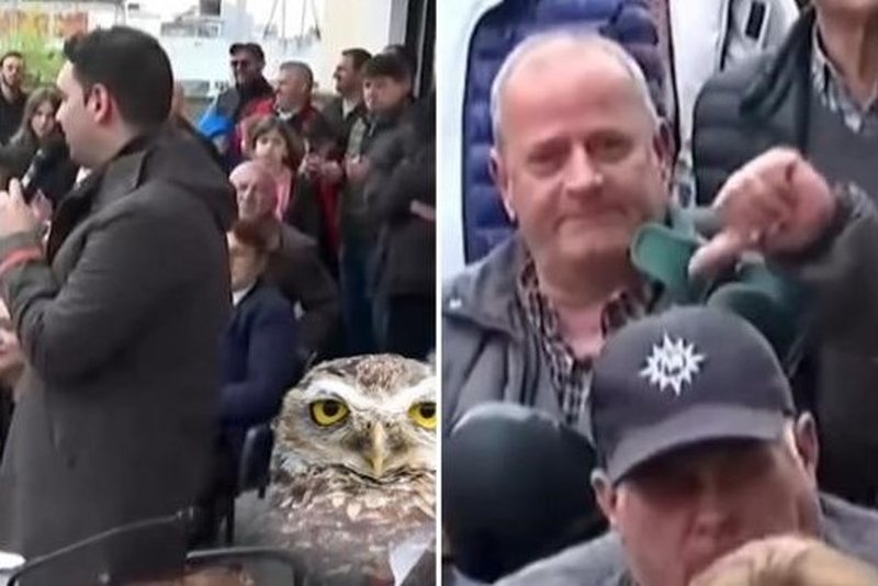 VIDEO/ “Doktor Berisha po e dha fjalën, e mban”! Rama ironizon deklaratën e Këlliçit me reagimin epik të qytetarit