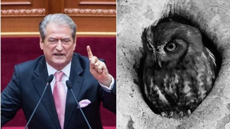 VIDEO/ I “anuluan” darkën zyrtare në Strasburg sipas p*rdhëve  të Saliut! Rama i përgjigjet bufit të kënetës: Vazhdon rrjedhja e lirë