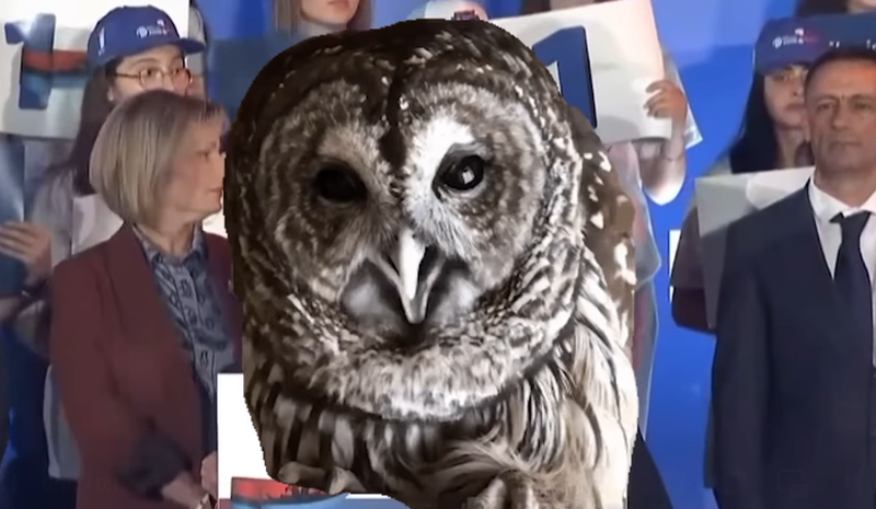 Berisha flet përçartë bëhet lëmsh me shifrat: Rama e ironizon me video… obo, bo, boo! Berisha flet përçartë bëhet lëmsh me shifrat: Rama e ironizon me video… obo, bo, boo!