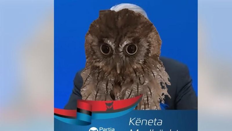 “E albania kurthi më i keq i kohërave”! Rama ironizon deklaratën e Berishës me videon e bufit: S’ka derman jo