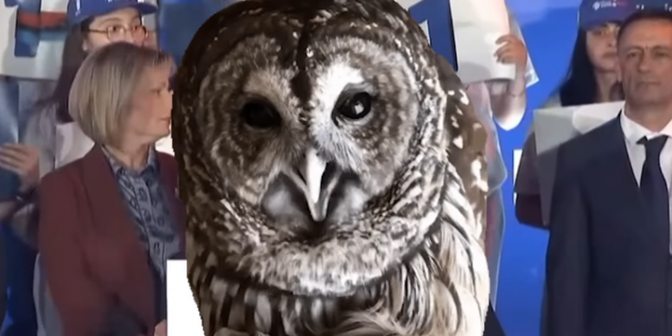 Sali Berisha në delir si mashtroi : Në Valencia kisha rikthimin tim më të fuqishëm politik në historinë e Evropës Sali Berisha në delir si mashtroi : Në Valencia kisha rikthimin tim më të fuqishëm politik në historinë e Evropës