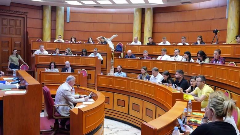 Debate në mbledhjen e Këshillit Bashkiak të Tiranës, përjashtohet Endri Shabani! Megi Fino zgjidhet kryetare, Endrit Braimllari nënkryetar Debate në mbledhjen e Këshillit Bashkiak të Tiranës, përjashtohet Endri Shabani! Megi Fino zgjidhet kryetare, Endrit Braimllari nënkryetar